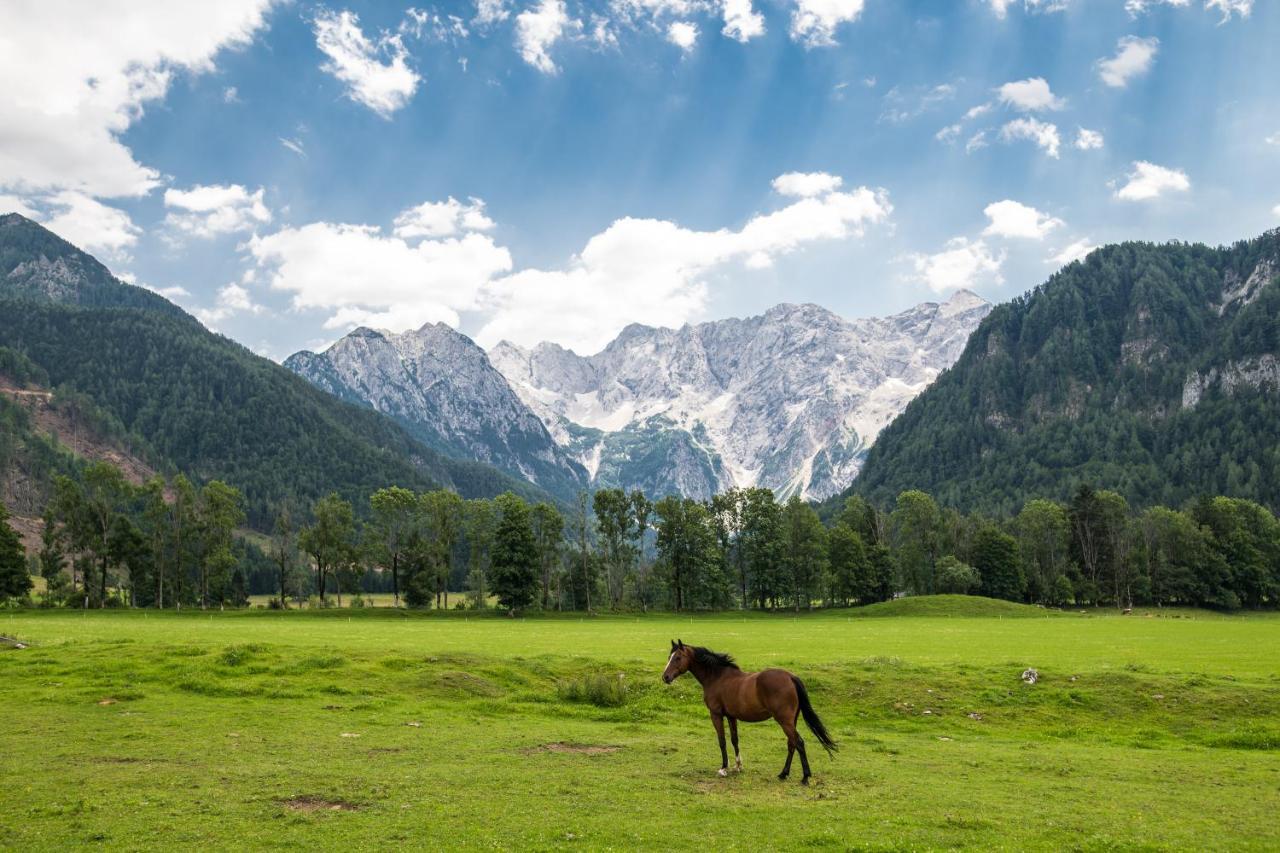 Boutique Hotel Vila Planinka Zgornje Jezersko Luaran gambar